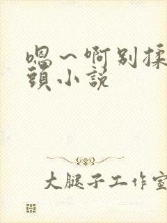 嗯～啊别揉我奶头小说封面