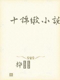 十锦缎小说