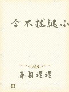 合不拢腿小说