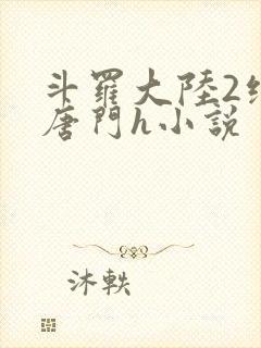 斗罗大陆2绝世唐门h小说