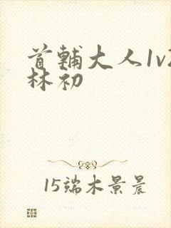 首辅大人1v2林初