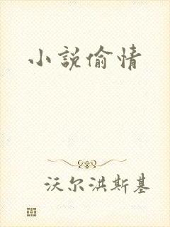 小说偷情