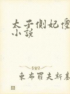 太子侧妃傻乎乎小说