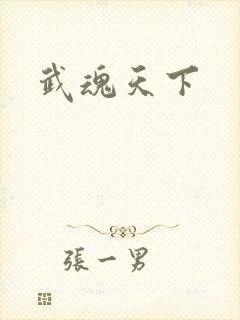 武魂天下