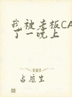 我被老板CAO了一晚上封面