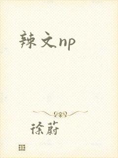 辣文np
