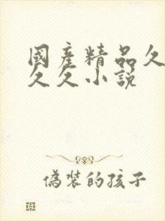 国产精品久久久久久小说