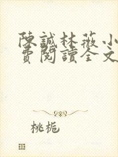 陈诚林薇小说免费阅读全文最新章节封面