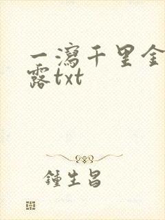 一泻千里金银花露txt