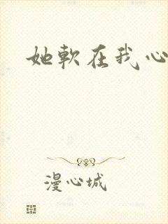 她软在我心上封面