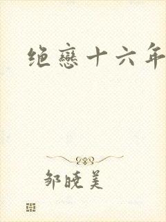 绝恋十六年封面