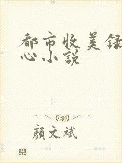 都市收美录宁素心小说封面