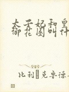 太子妃和皇帝在御花园叫什么小说封面