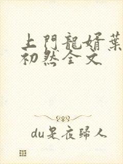 上门龙婿叶辰萧初然全文封面