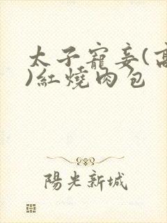 太子宠妾(高肉)红烧肉包