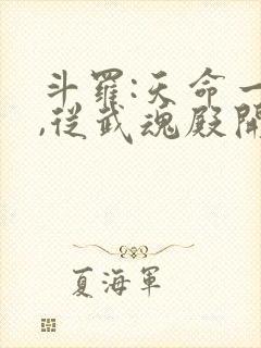 斗罗:天命一族,从武魂殿开始