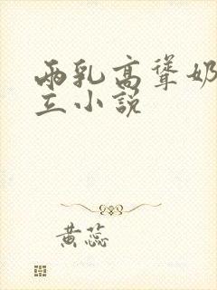 两乳高耸奶头挺立小说封面