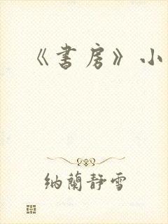 《书房》小说封面