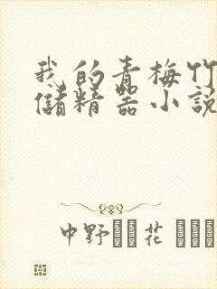 我的青梅竹马是储精器小说