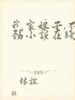 我家娘子,不对劲小说在线阅读