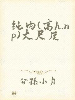 纯肉(高h.np)大尺度