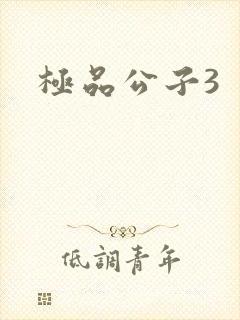极品公子3