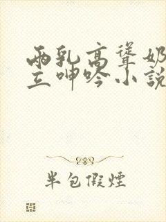 两乳高耸奶头挺立呻吟小说