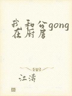 我和公gong在厨房