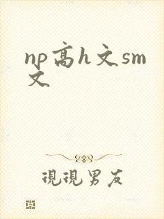 np高h文sm文