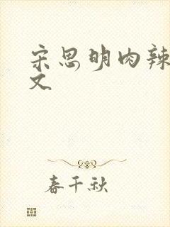 宋思明肉辣文h文