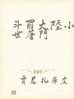 斗罗大陆小说绝世唐门