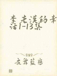 李老汉的幸福生活1-13集