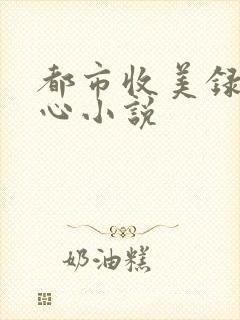 都市收美录宁素心小说