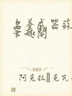 名养成器苏沫沫笔趣阁封面