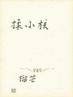 揉小核封面