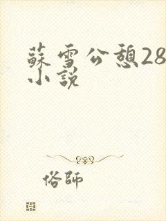 苏雪公憩28篇小说