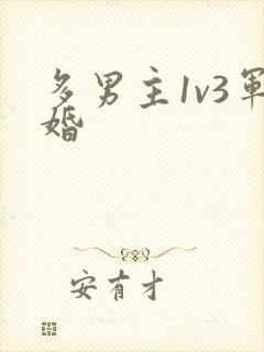 多男主1v3军婚