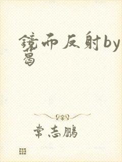 镜面反射by九葛