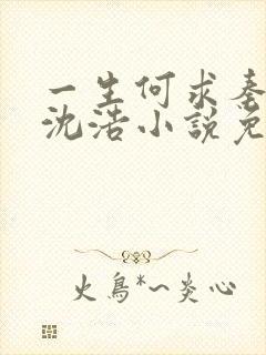 一生何求秦菲雪沈浩小说免费阅读全文笔趣阁封面