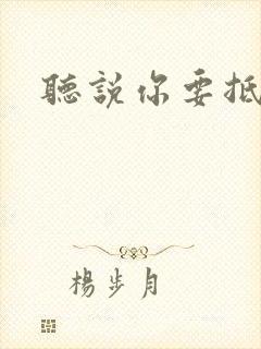 听说你要抵抗我