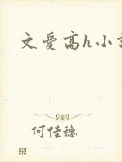 文爱高h小说