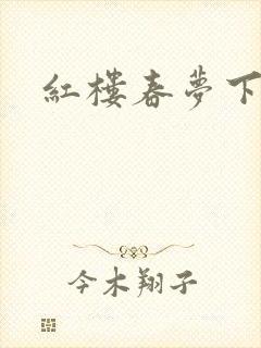 红楼春梦下载封面