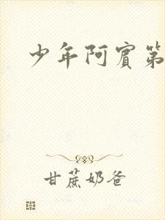 少年阿宾第二部