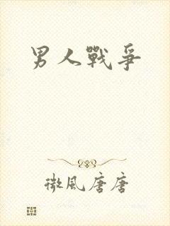 男人战争封面