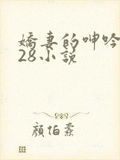 娇妻的呻吟1—28小说封面