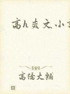 高h爽文小说封面