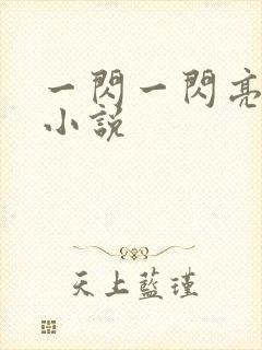 一闪一闪亮星星小说