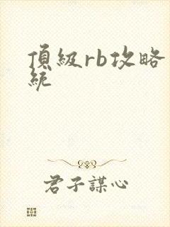 顶级rb攻略系统