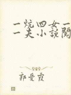 一炕四女一共侍一夫小说阅读