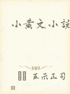 小黄文小说封面